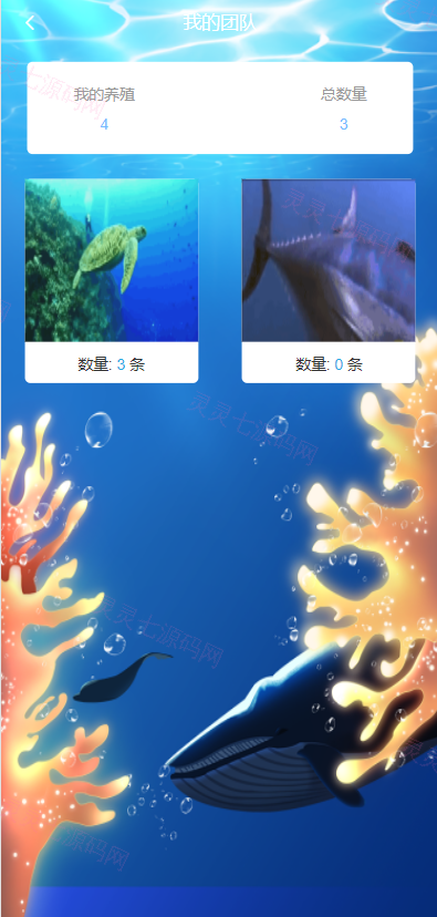 USDT理财系统/USDT投资源码/虚拟币静态收益/区块链源码 - 5