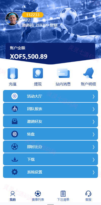 海外反波胆系统/多语言球盘源码/足球下注/三级分销 - 8