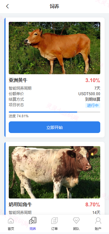 多语言养殖投资系统/养牛投资返利/签到/前端VUE - 3