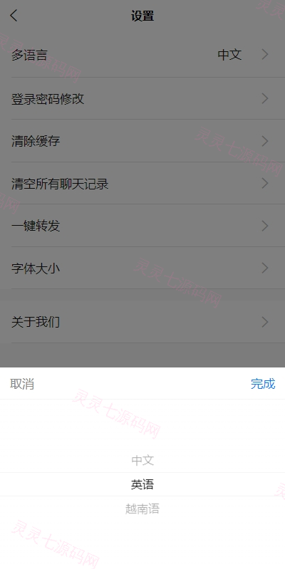 多语言即时通讯系统/语音视频通话/社交聊天系统 - 13