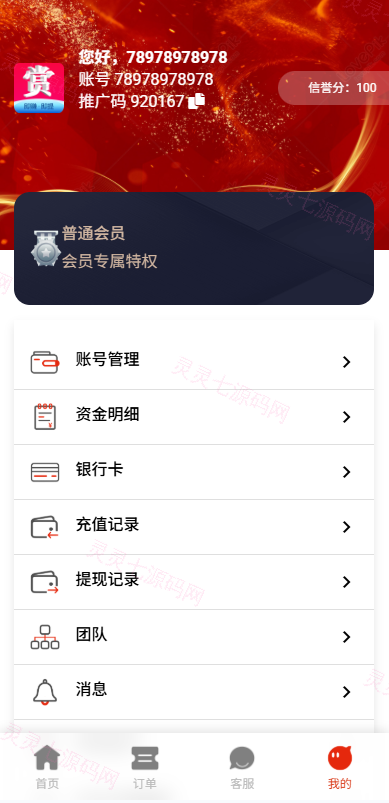 运营版抢单刷单系统/打针/做单/会员跟踪/信誉分 - 9