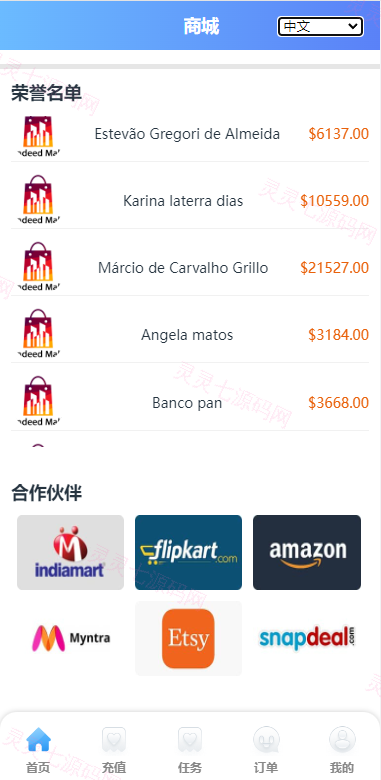 双UI多语言海外抢单刷单系统/分组派单/订单自动匹配系统 - 12
