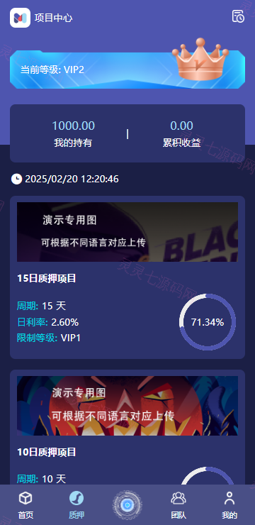 高端多语言自动挖矿系统/海外质押理财/自定义语言 - 3