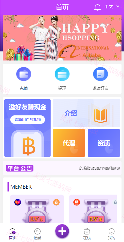 九套UI可切换海外抢单刷单系统/订单自动匹配系统/分组杀/连单控 - 10