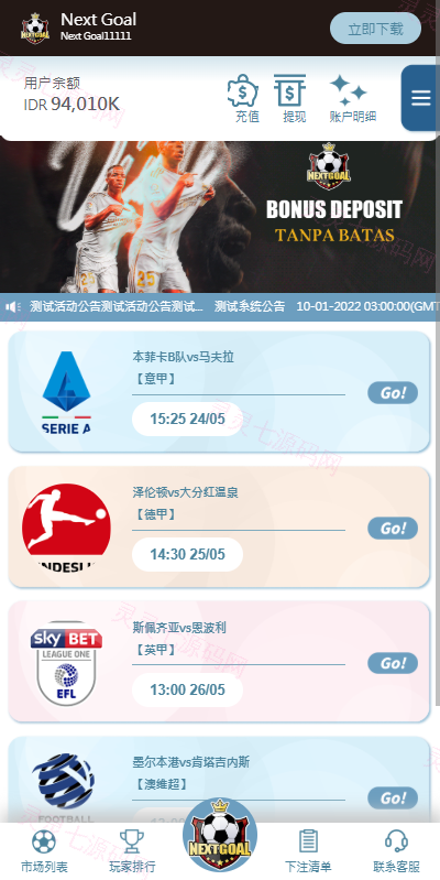 PC自适应反波胆系统/球盘源码/多级分销/充值返点 - 9