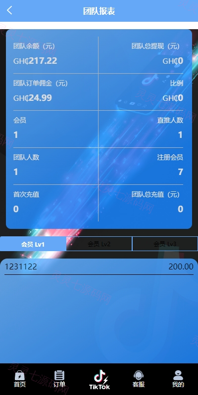 多语言TIKTOK刷单/海外TIKTOK抢单刷单/叠加组/打针 - 12