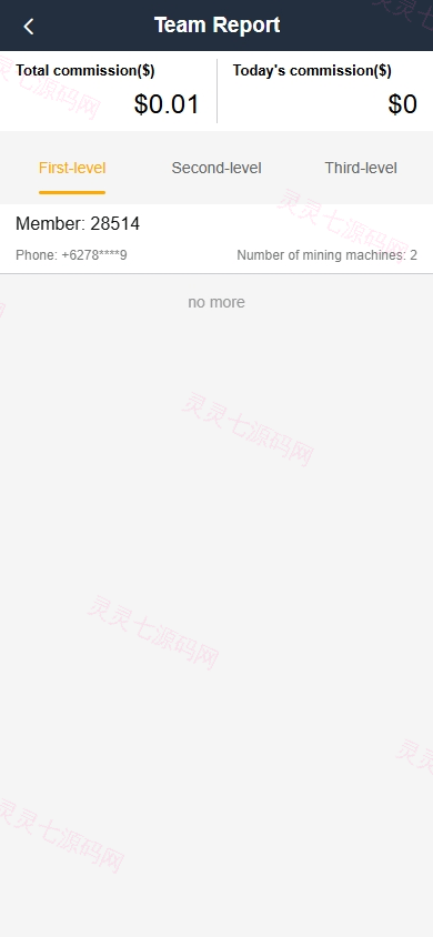 海外矿机系统/平台币矿机/三级分销/JAVA开源 - 10