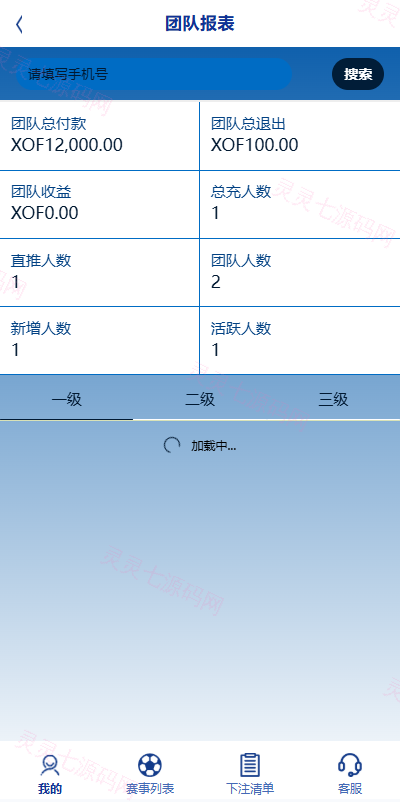 海外反波胆系统/多语言球盘源码/足球下注/三级分销 - 10