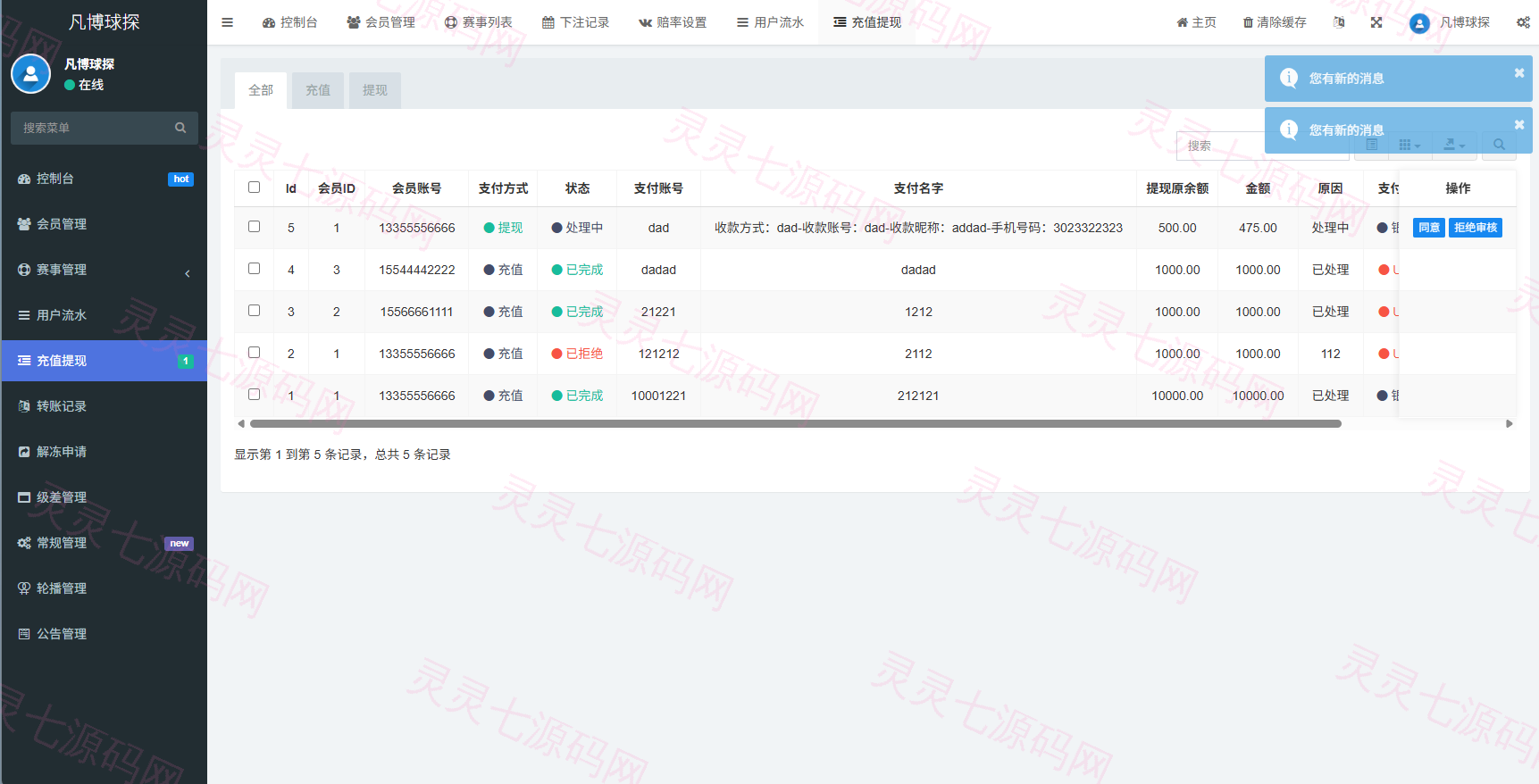 海外反波胆系统/电脑自适应/球盘源码/足球下注 - 25