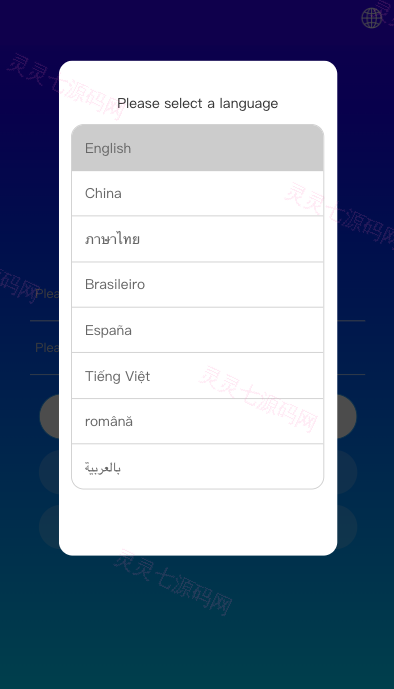 多语言抢单刷单系统/海外抢单商城/订单匹配源码/打针/前端vue - 2
