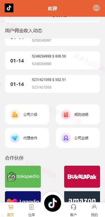 海外tiktok抢单刷单系统/前端uniapp/多语言刷单打针 - 4
