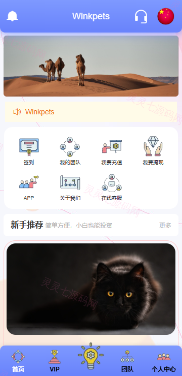 海外宠物投资理财系统/多语言投资源码/前端VUE - 3