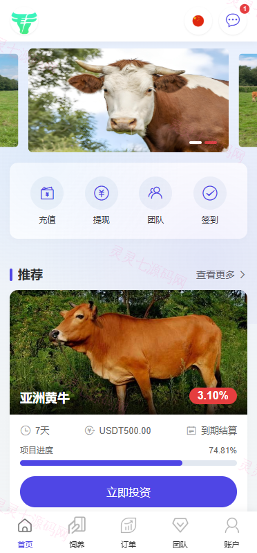 多语言养殖投资系统/养牛投资返利/签到/前端VUE - 2