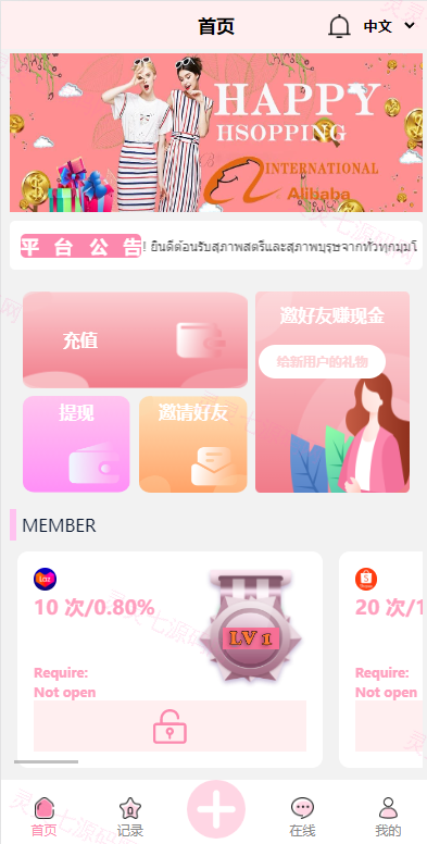 九套UI可切换海外抢单刷单系统/订单自动匹配系统/分组杀/连单控 - 12