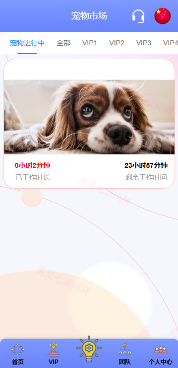 海外宠物投资理财系统/多语言投资源码/前端VUE - 7
