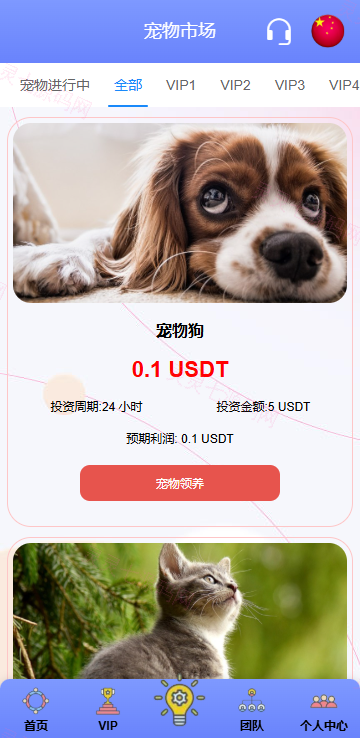 海外宠物投资理财系统/多语言投资源码/前端VUE - 8